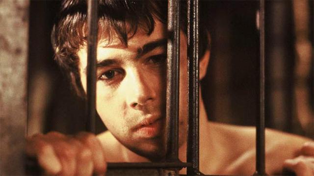 Медвежий поцелуй