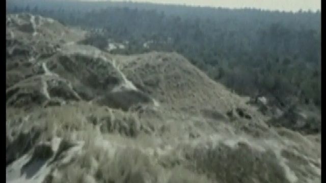 Волк — Роза ветров