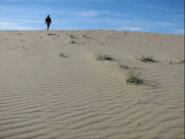 Михаил Бородин — Бродяга