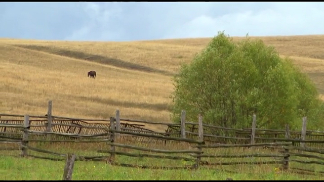 Видеоклип, посвященный памяти Трошева Г.Н.