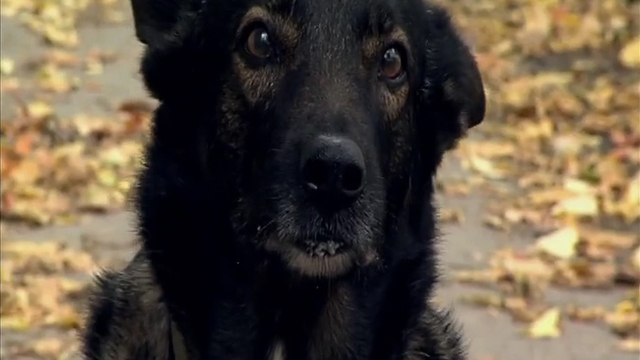 Вячеслав Московкин — Лето семилетия